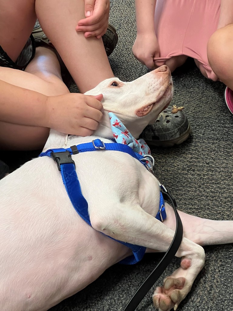 ESY Therapy Dog Visits